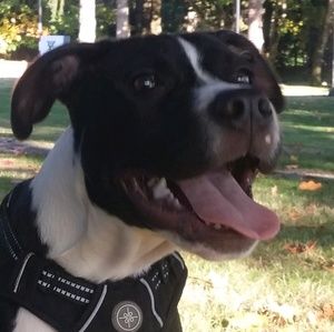 Meet your Posher, Josue